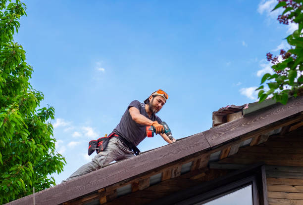 Best Sheet Metal Roofing  in , AR